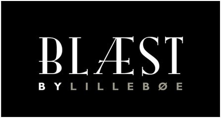 design-blaest-logo